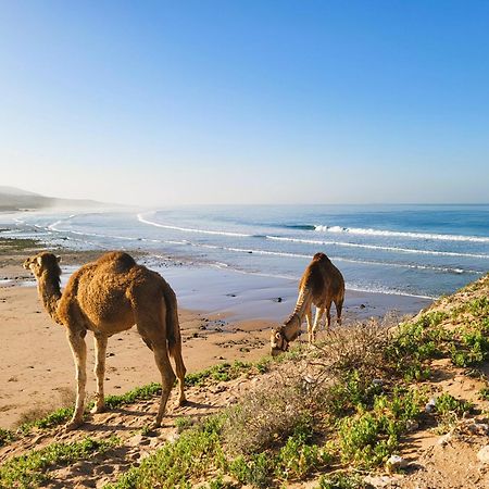 Отель Casa Janoub Morocco Tamraght Экстерьер фото