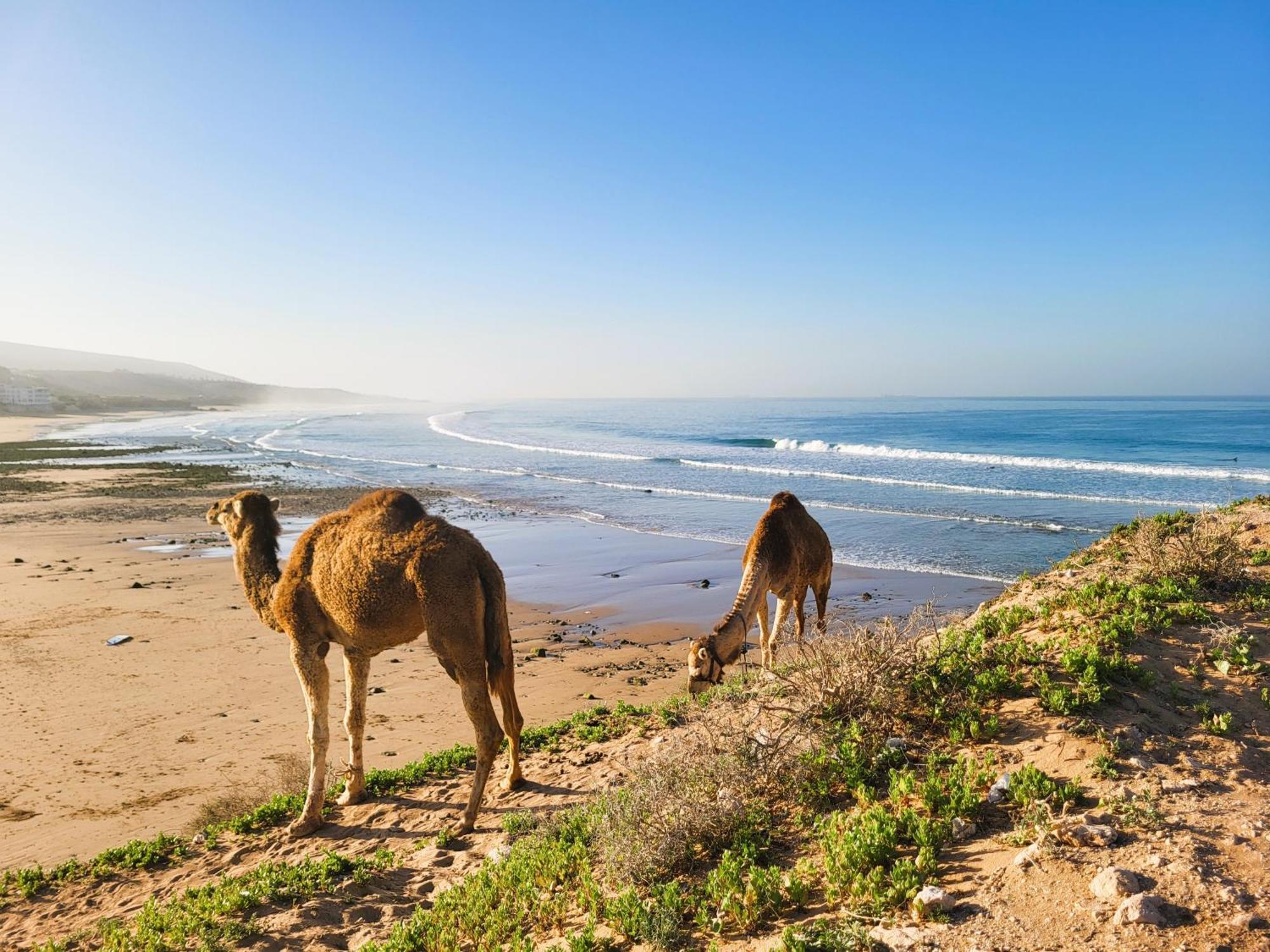 Отель Casa Janoub Morocco Tamraght Экстерьер фото